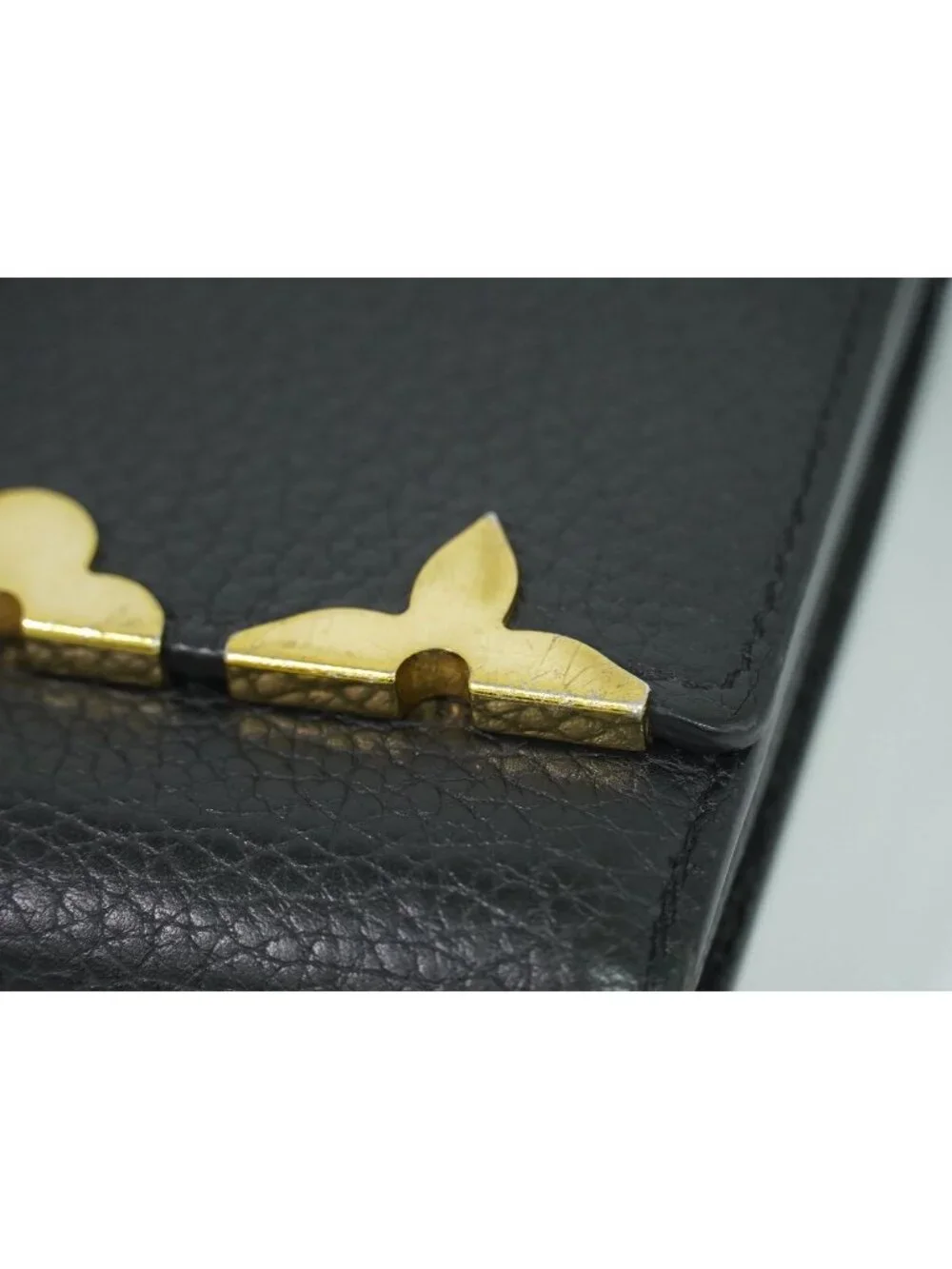 Louis Vuitton brand louis